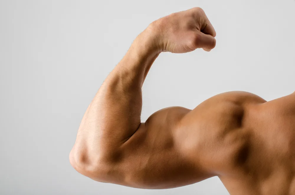Prendre de la masse musculaire : conseils nutrition et entraînement efficaces