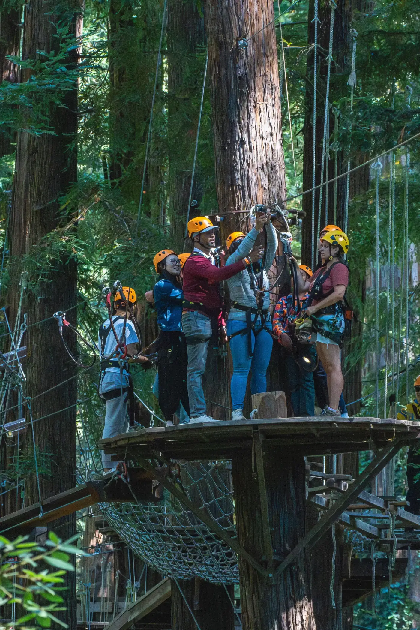 Groupe de collaborateurs équipés de casques et de baudriers sur une plateforme d'accrobranche en forêt lors d'un team building MyBestCoaching