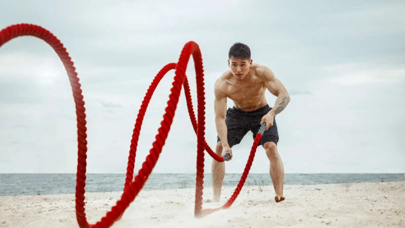 Quelle est la différence entre “endurance” et “stamina” ?