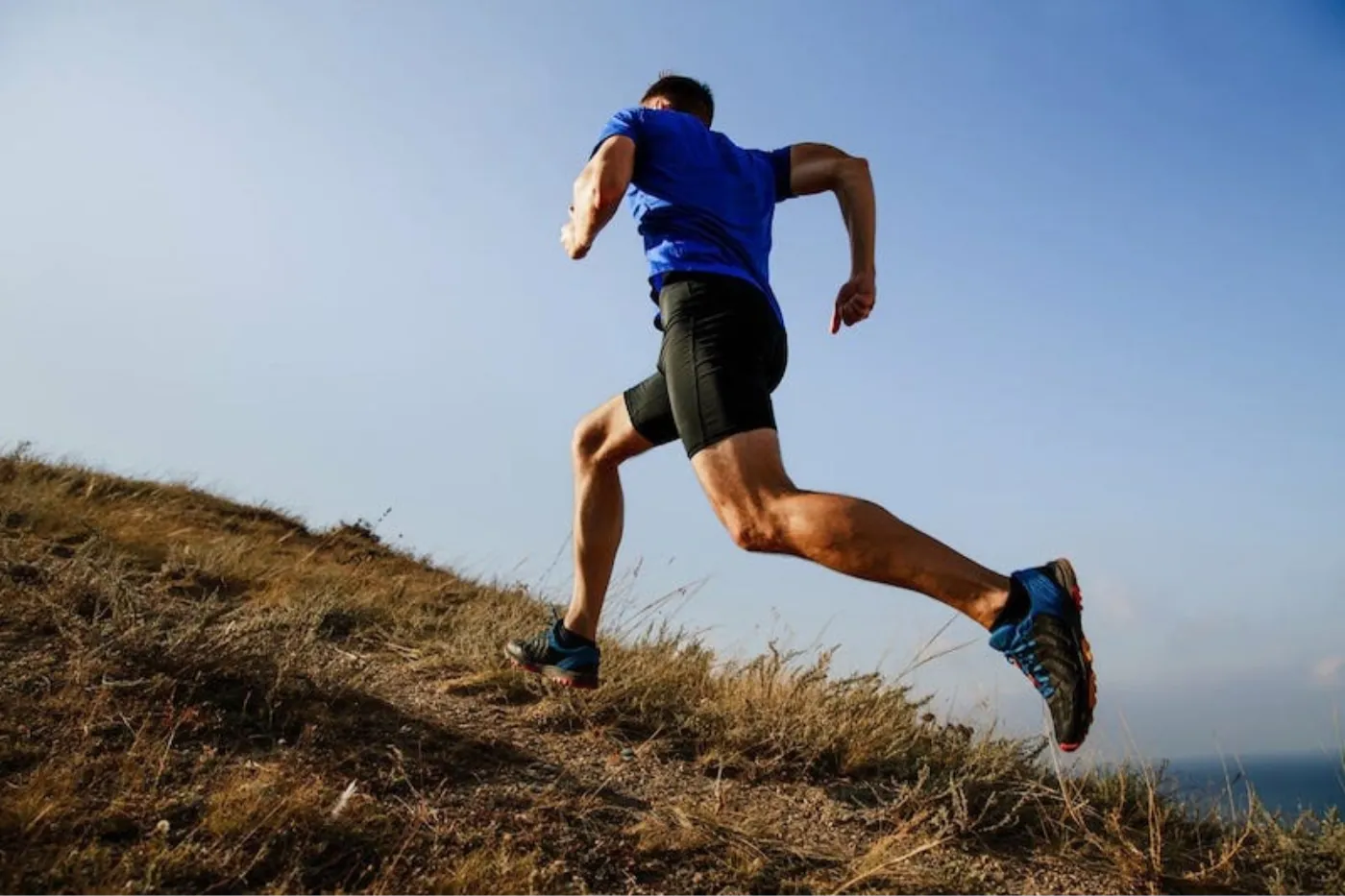 La course à pied est la base de l'endurance cardio-vasculaire.