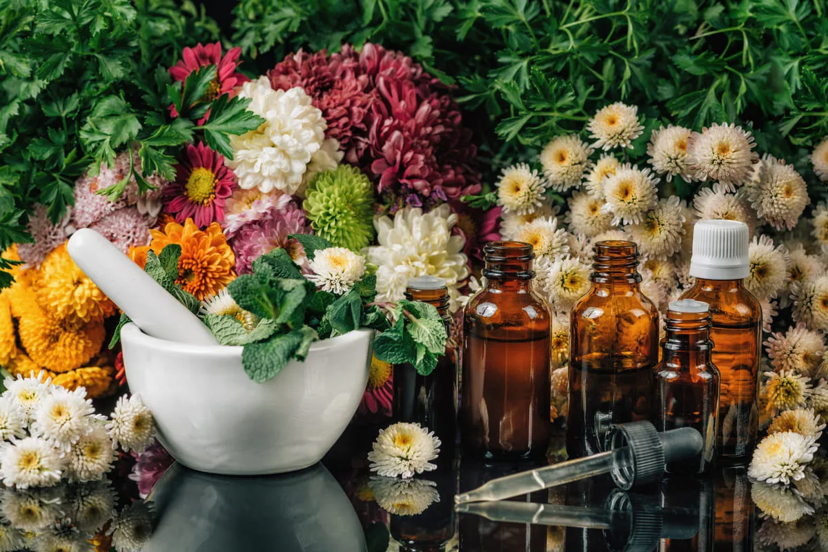 Les fleurs de Bach sont utilisées pour accompagner divers objectifs de santé et de bien-être, y compris la perte de poids.