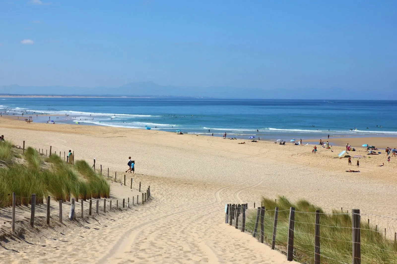 Plage ensoleillée avec des baigneurs et surfeurs. Sable doré, océan bleu. Dunes herbeuses à gauche. Ambiance estivale et relaxante.