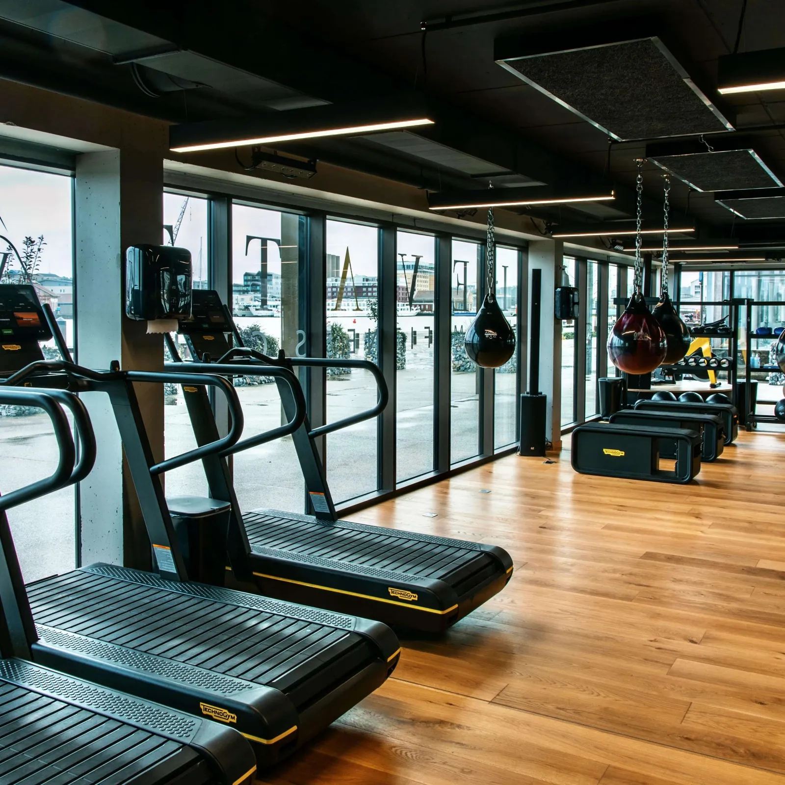 elevate premium fitness bordeaux