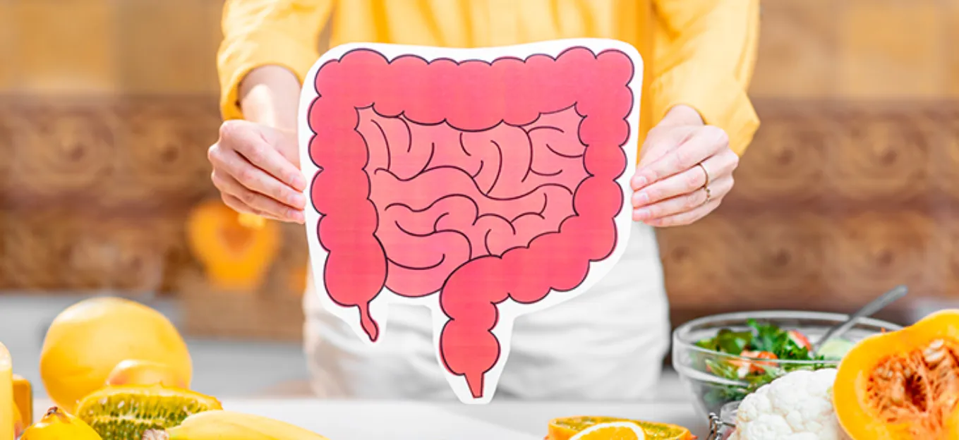 santé intestinale et perte de poids