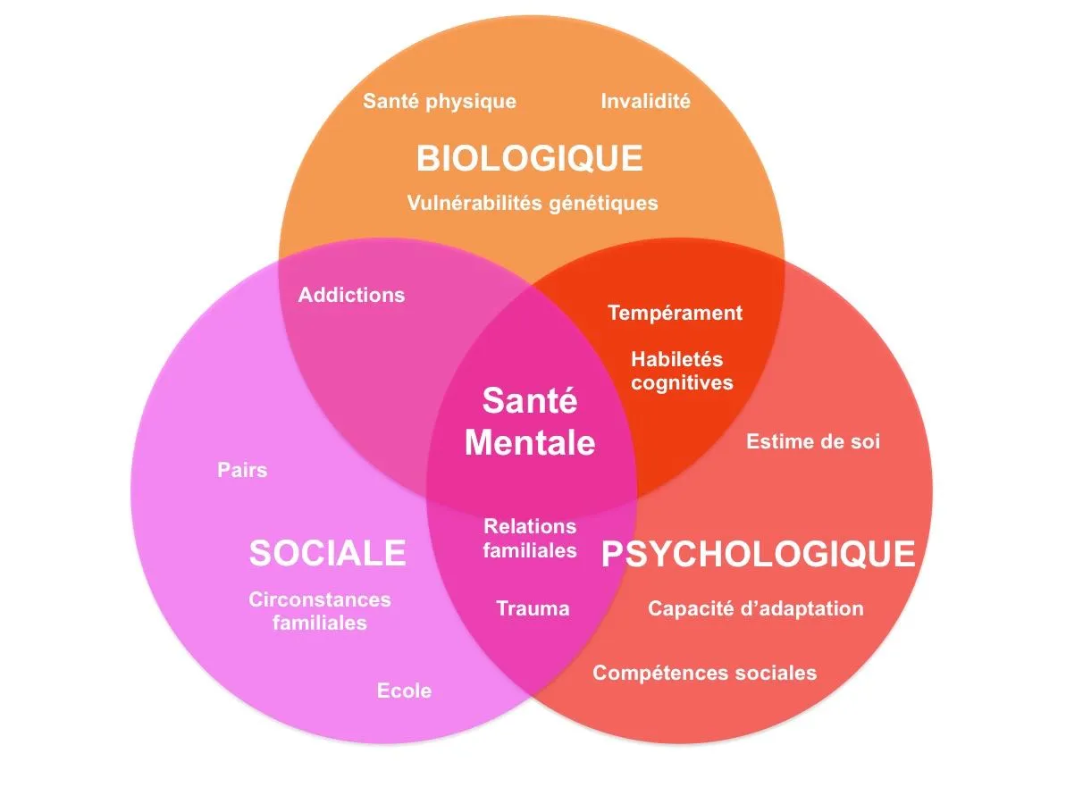 Schéma faisant la corrélation entre les différentes composantes de la santé mentale.